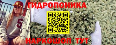 прущие крисы Кумертау