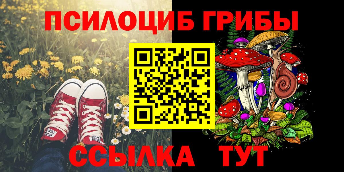 Псилоцибиновые грибы мицелий Каменск-Шахтинский