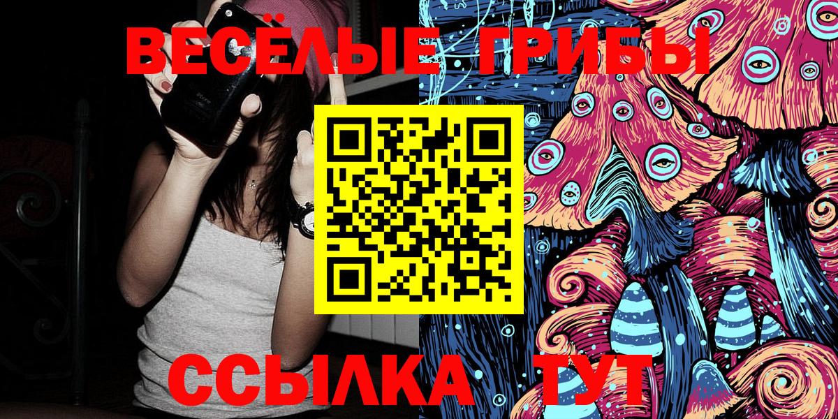 Каменск-Шахтинский  Псилоцибиновые грибы мицелий  Вход с VPN 